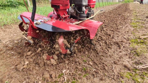 65 kg ploegmachine nieuwste model voor kleine bodem verbouwing bij 4 km / h werkingssnelheid