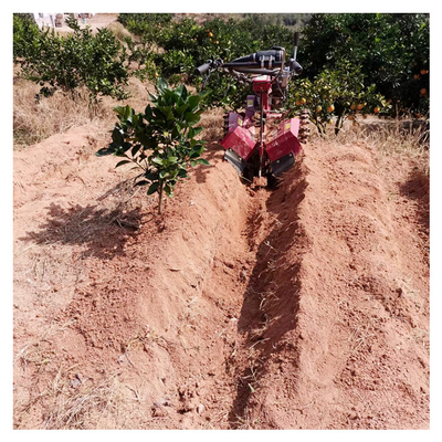 Krachtige benzine motor Orchard Tiller Weeder voor 145 * 62 * 85cm Orchard Management