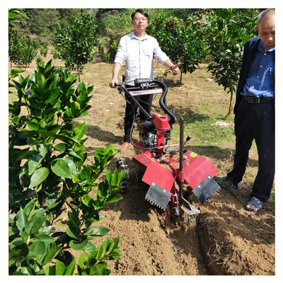 Krachtige benzine motor Orchard Tiller Weeder voor 145 * 62 * 85cm Orchard Management