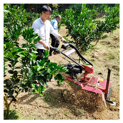 Krachtige benzine motor Orchard Tiller Weeder voor 145 * 62 * 85cm Orchard Management