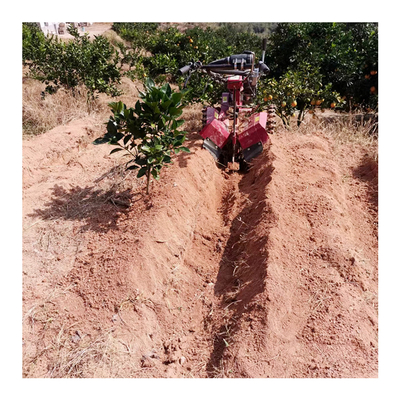 Groenteboer Tiller Benzinemotor Mini Trencher Graafmachine voor tuin