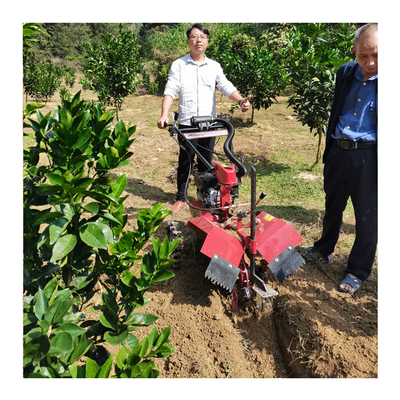 Groenteboer Tiller Benzinemotor Mini Trencher Graafmachine voor tuin