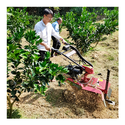 Groenteboer Tiller Benzinemotor Mini Trencher Graafmachine voor tuin