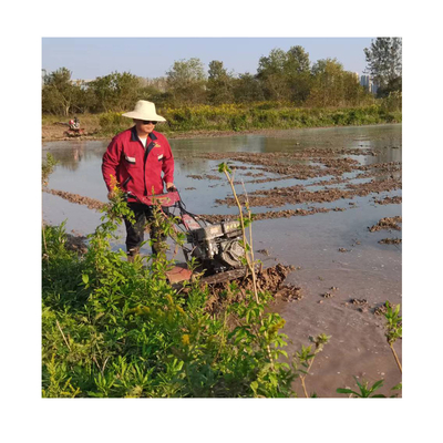 Boerderijen 170F All Gear Transmission Weeding Rotary Tillage Mini Power Tiller Cultivator