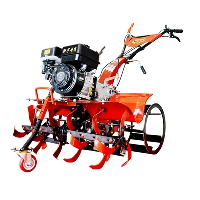 170F All Gear Transmission Direct Connected Farm Cultivator voor en roterende grondbewerking