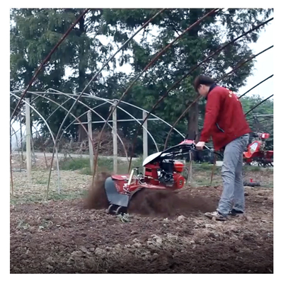Economisch Mini Power Tiller Gear Cultivator 10-40cm Tiling Breedte en benzine Ditching