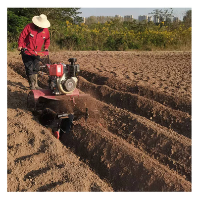 Duurzame landbouwmachines met alle versnellingsbakken Mini-power tiller voor bedden