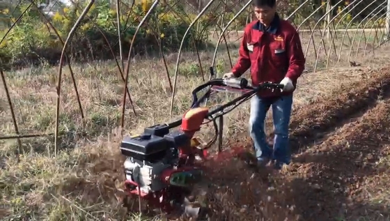 Easy Orchard Start handbediende cultivator met dieselmotor en versnellingsbak