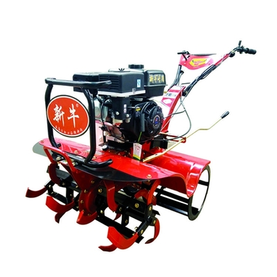 160*62*108cm Meerdoelige tandwiel- en bandtransmissie 170F Benzinemotor