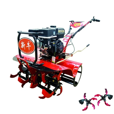 160*62*108cm Meerdoelige tandwiel- en bandtransmissie 170F Benzinemotor