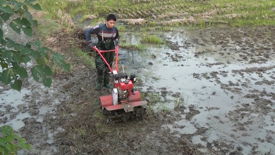 4 kW 4 wiel aandrijving Tuin Tiller Cultivator met verstelbare ploegbreedte 15-35cm