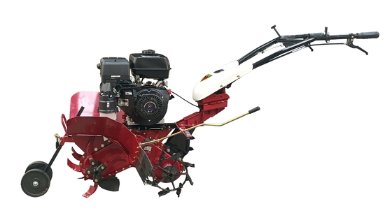 Economisch 186F Dieselmotor Vierwielaandrijving Cultivator voor multifunctionele landbouw