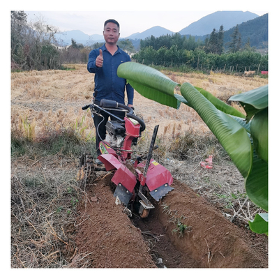 4 km/u Werksnelheid Benzinemotor Mini Power Tiller Power Weeder Rotavator Cultivator
