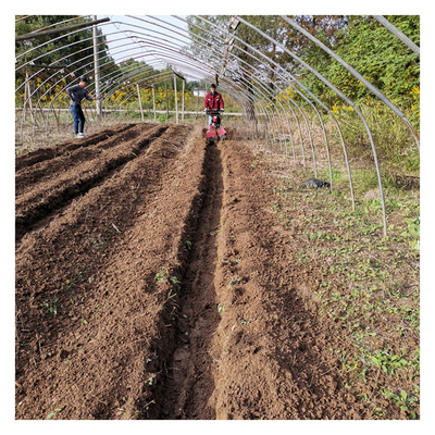 Hoog veiligheidsniveau Boomlandbouw Machine Ridging Mini Farm Power Tiller voor energie