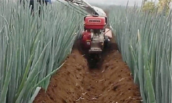 155*75*105cm Handheld Diesel Engine Mini Power Tiller Cultivator voor bodemvoorbereiding