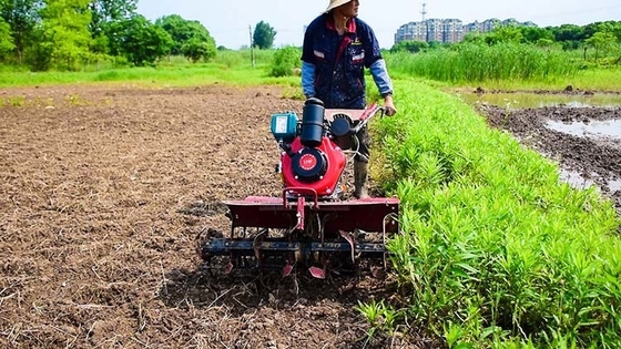 4 kW Hoog veiligheidsniveau Multi-Funktie Landbouwmachine Benzinemotor 4WD 170f Mini Tiller