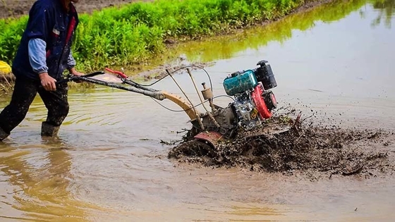 Vierwielaandrijving Landbouwuitrusting voor meerdere doeleinden 173F Dieselmotor Cultivator voor tuin