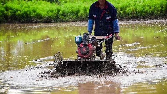 Vierwielaandrijving Landbouwuitrusting voor meerdere doeleinden 173F Dieselmotor Cultivator voor tuin
