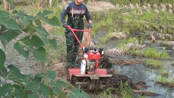 4 kW kort model 173f Dieselmotor Power Tiller voor duurzame landbouw