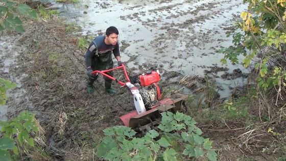 4 kW kort model 173f Dieselmotor Power Tiller voor duurzame landbouw