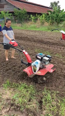 Ervaar het vermogen van een 6 pk diesel motor 85 kg in uw tuin