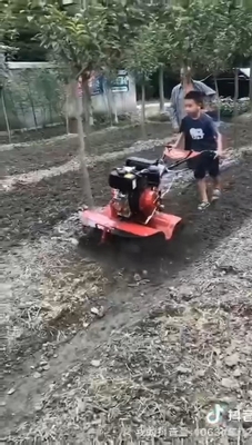 Ervaar het vermogen van een 6 pk diesel motor 85 kg in uw tuin