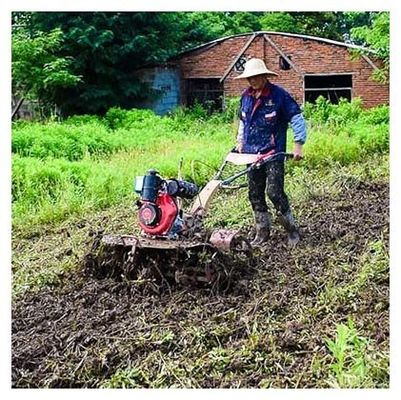 Hoog veiligheidsniveau 4KW 173F Dieselmotor Mini Tiller De beste keuze voor onkruidverwydering