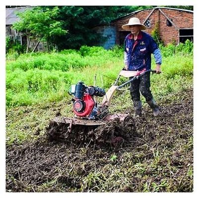 Hoog veiligheidsniveau 4KW 173F Dieselmotor Mini Tiller De beste keuze voor onkruidverwydering