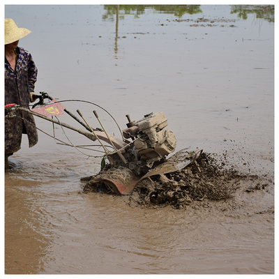 Hoog veiligheidsniveau 4WD Paddy Field Tilling Light 170F Cultivator Topkeuze voor boeren