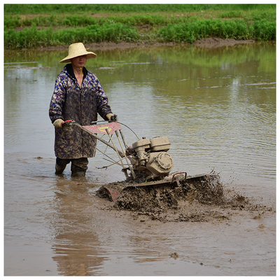 Hoog veiligheidsniveau 4WD Paddy Field Tilling Light 170F Cultivator Topkeuze voor boeren