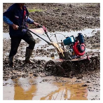 Landbouwuitrusting Lichter 170F Benzine motor Power Tiller voor tuin 1100*1050*880mm