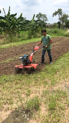 Mini Tiller Gear Structure Cultivator 45-85cm Werkwijdte voor grondbewerking