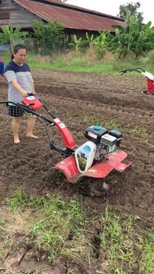 Een moeiteloze landbouw met een 9 pk krachtteler met een hoog veiligheidsniveau en geavanceerde technologie