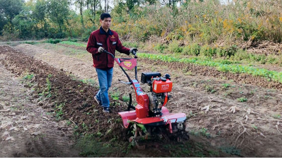 155*75*105cm Rotary Cultivator voor economisch en tijdbesparend rijstveld