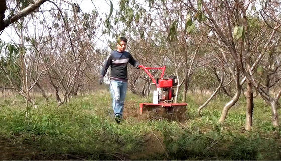 155*75*105cm Rotary Cultivator voor economisch en tijdbesparend rijstveld
