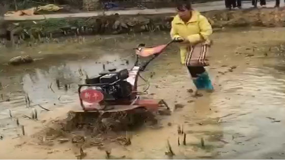 155*75*105cm Rotary Cultivator voor economisch en tijdbesparend rijstveld