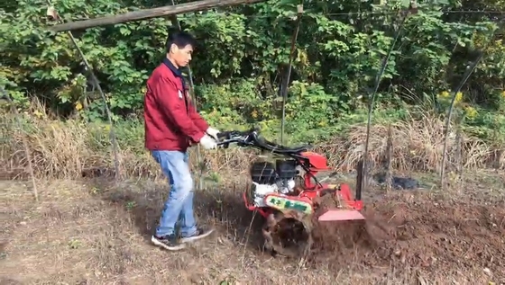 177F Gas-motor vierwielaandrijving Mini Power Tiller Cultivator voor landbouw en tuin