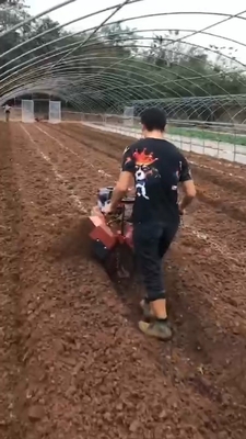 70 kg Graven, onkruid, bemesting, intertillage, rijteller met benzinemotor