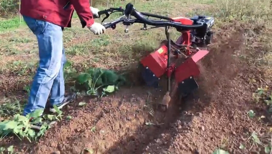 70 kg Graven, onkruid, bemesting, intertillage, rijteller met benzinemotor
