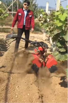 70 kg Graven, onkruid, bemesting, intertillage, rijteller met benzinemotor