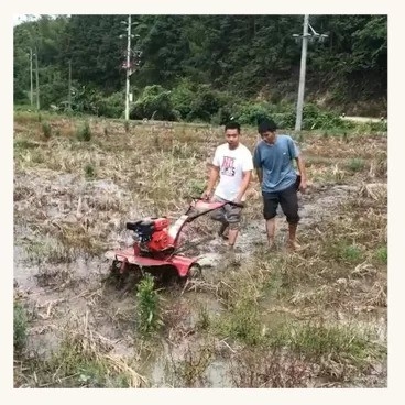 Landbouwer Gasoline/Diesel Mini Weeding Power Tiller met een werkbreedte van 45-85 cm