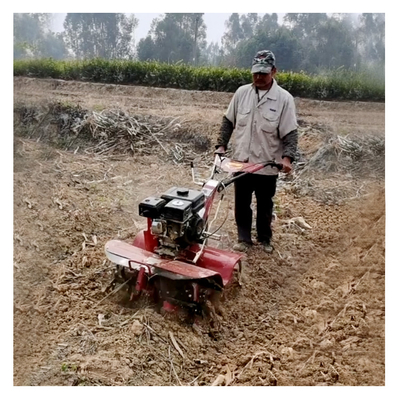 Xinniu Farm Machine Mini Power Tiller met veelzijdige benzinemotor en draaibare gereedschappen