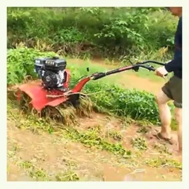 Gas mini power tiller met roterende tillage lichtgewicht en 65 kg laadvermogen
