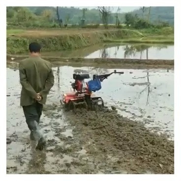 Gas mini power tiller met roterende tillage lichtgewicht en 65 kg laadvermogen