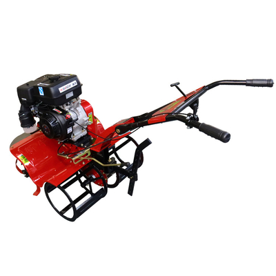 Landbouwmachine-apparatuur Kleine wandelende microteller voor het beheer van de bodem van boomgaarden
