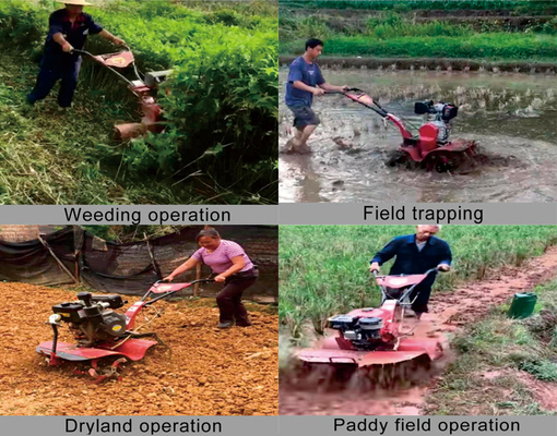 Teelt met een hoog veiligheidsniveau 7 pk Mini Power Tiller Rotary Tiller Machine Type