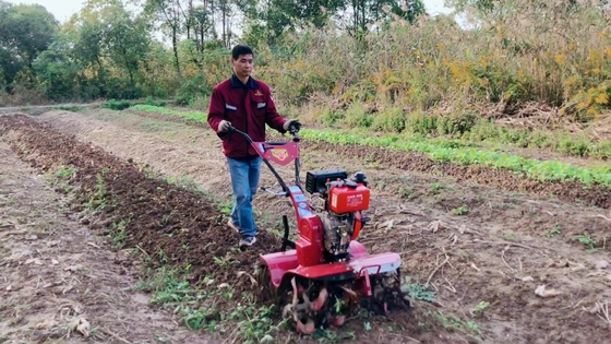Krachtige 186F Dieselmotor met vierwielaandrijving Mini Power Tiller Cultivator voor de markt