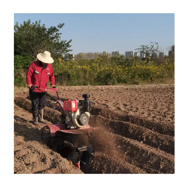 Efficiënte teelt van rijstvelden en droog land
