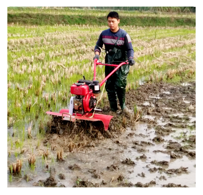 Hoog veiligheidsniveau Landbouwmachines Mini Power Tiller met werkbreedte 45-85cm